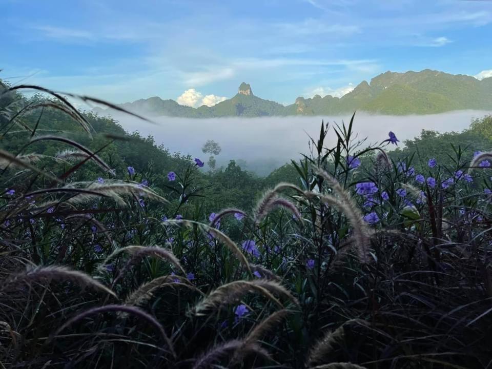 Por Sampao Camp&Resort Ban Pha Saeng Lang Buitenkant foto